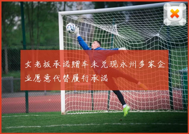女老板承诺赠车未兑现永州多家企业愿意代替履行承诺