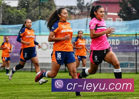 App Interface Preview