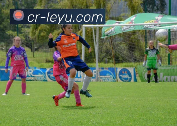 乐鱼体育APP 封面图